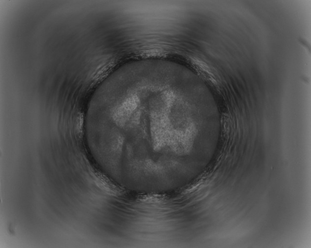 X0000092210550200710121131