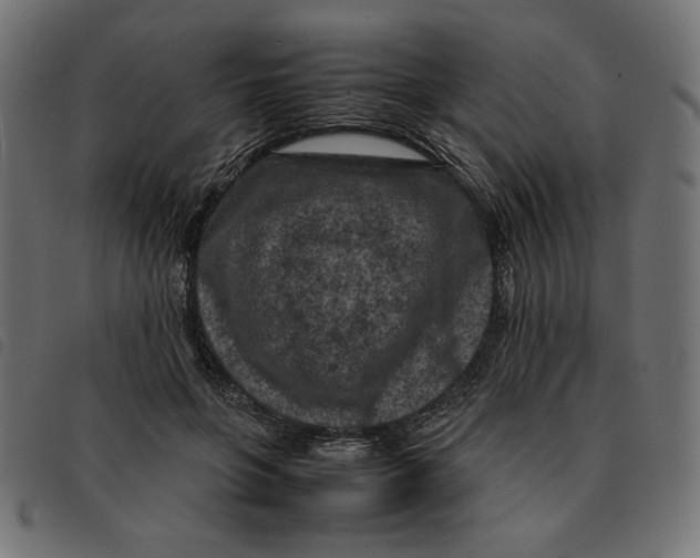 X0000092210551200710121131