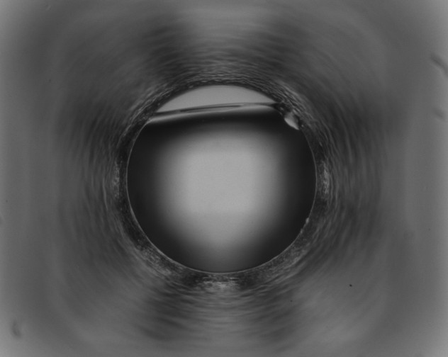 X0000092210552200710121131