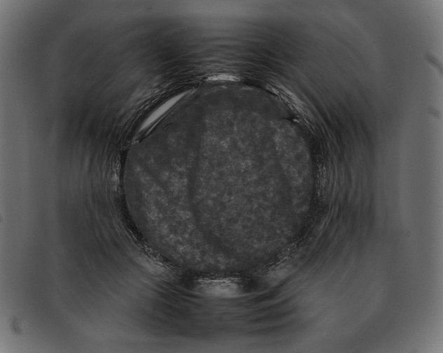 X0000092210553200710121131