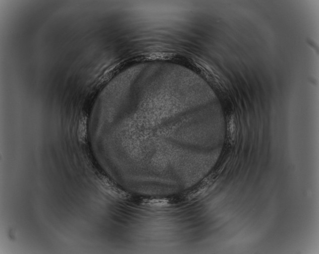 X0000092210554200710121131