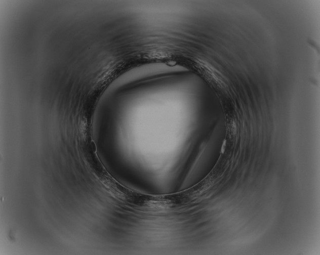 X0000092210556200710121131