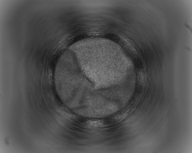 X0000092210557200710121131
