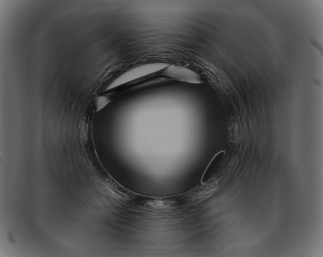 X0000092210558200710121131