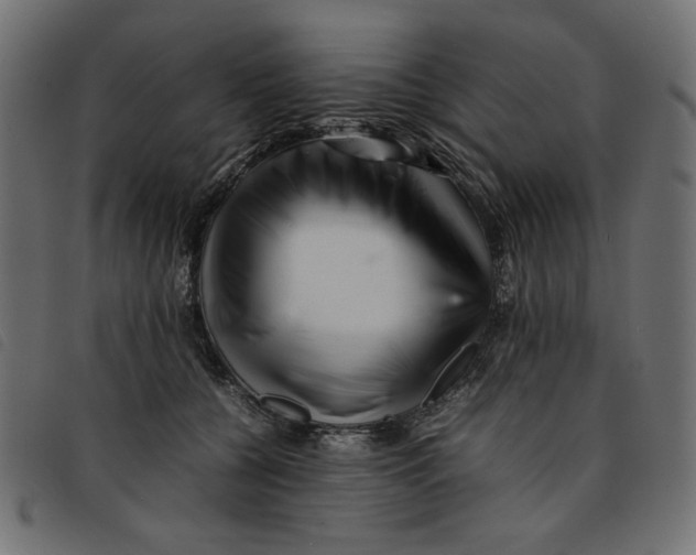 X0000092210560200710121131