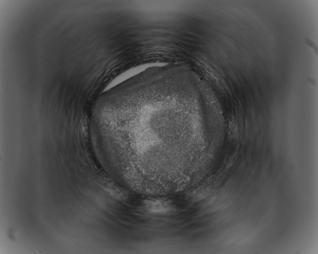 X0000092210561200710121131