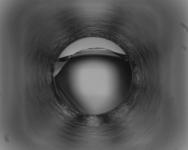 X0000092210562200710121131