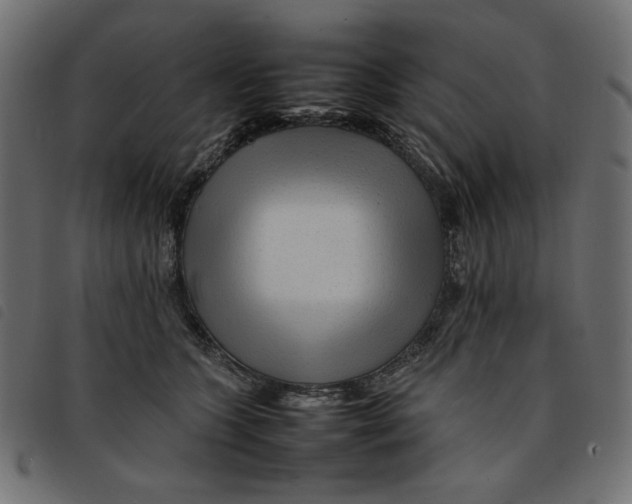 X0000092210563200710121131