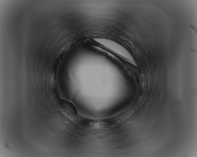 X0000092210564200710121131