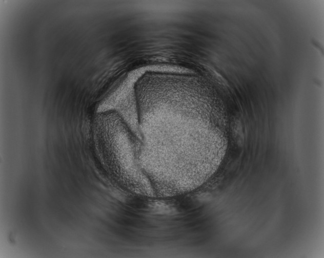 X0000092210565200710121131