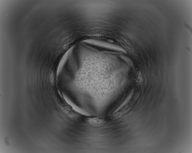 X0000092210568200710121131