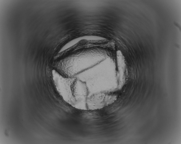 X0000092210569200710121131