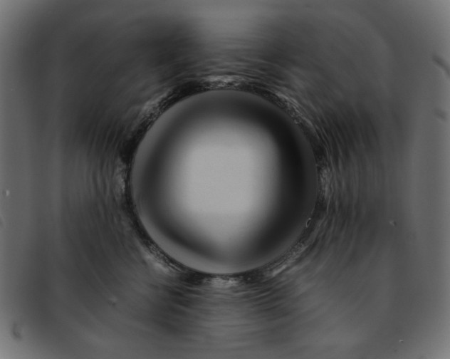 X0000092210570200710121131
