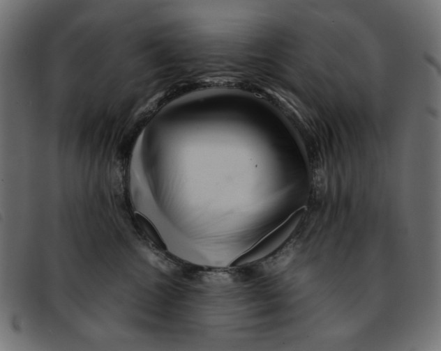 X0000092210572200710121131