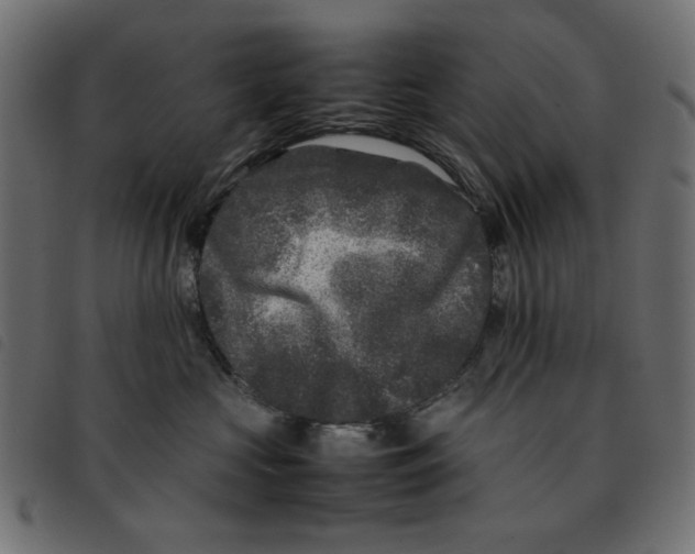 X0000092210573200710121131