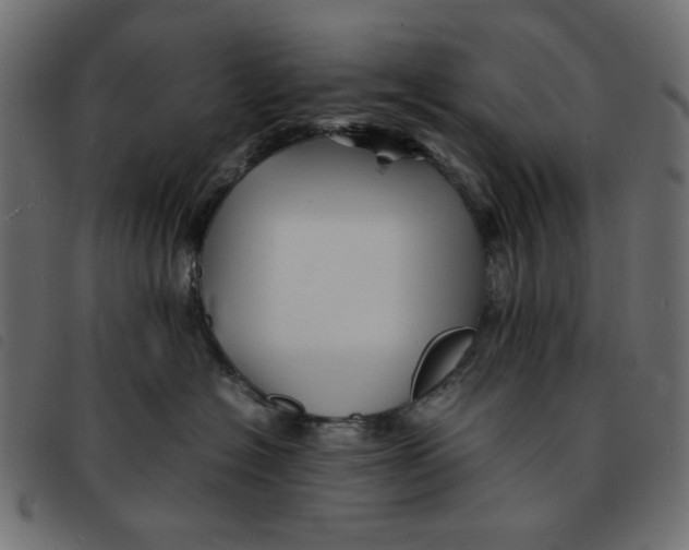 X0000092210574200710121131