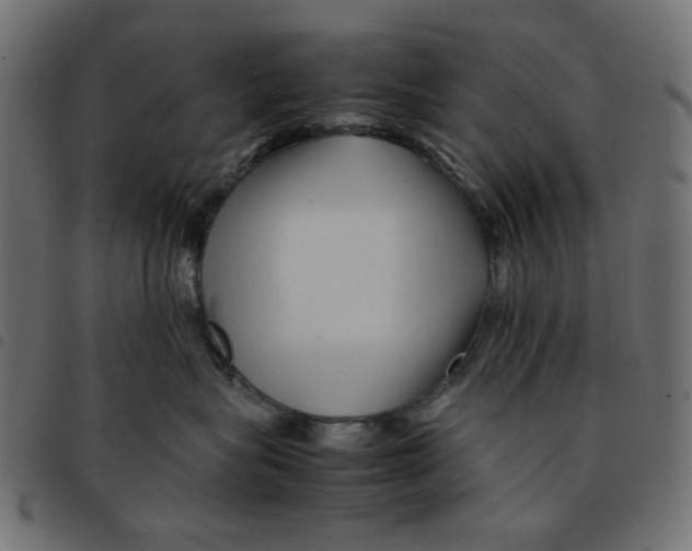 X0000092210575200710121131