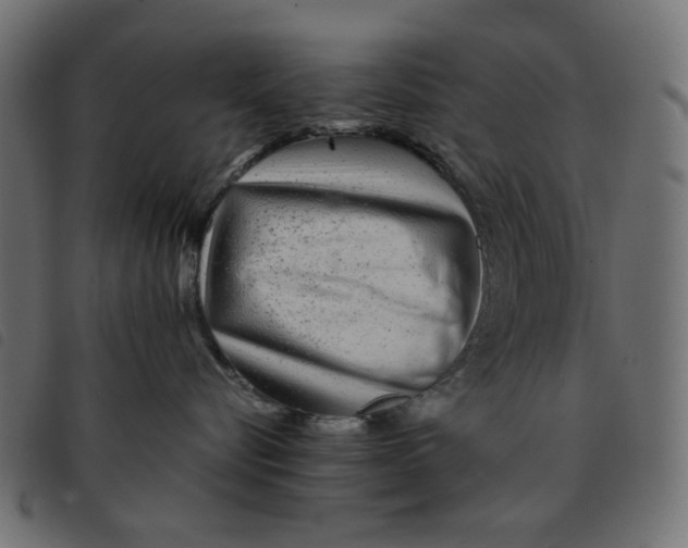 X0000092210576200710121131