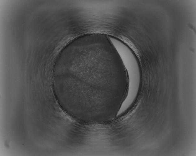 X0000092210577200710121131
