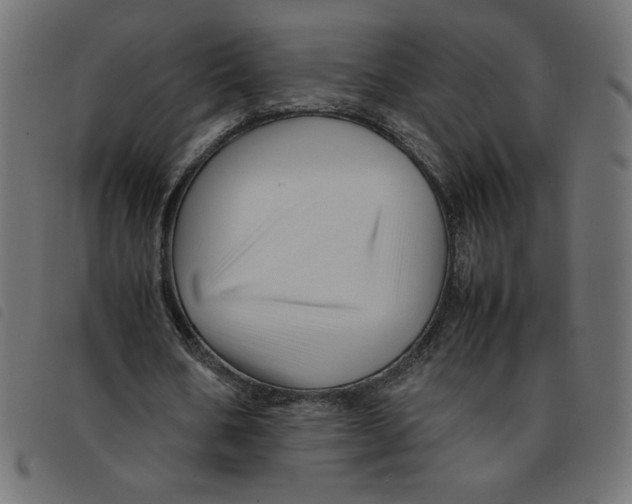 X0000092210578200710121131