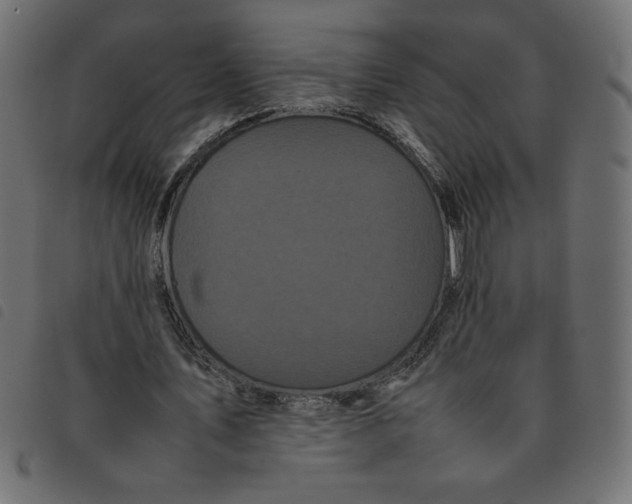 X0000092210579200710121131