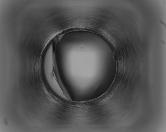 X0000092210580200710121131