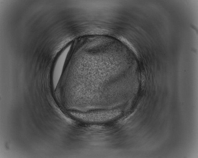 X0000092210581200710121131