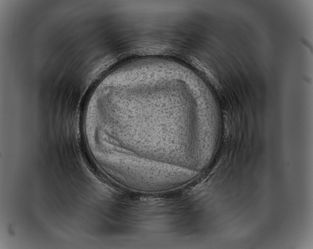 X0000092210582200710121131