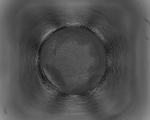 X0000092210583200710121131