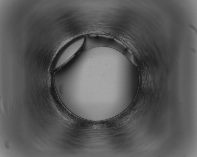 X0000092210584200710121131