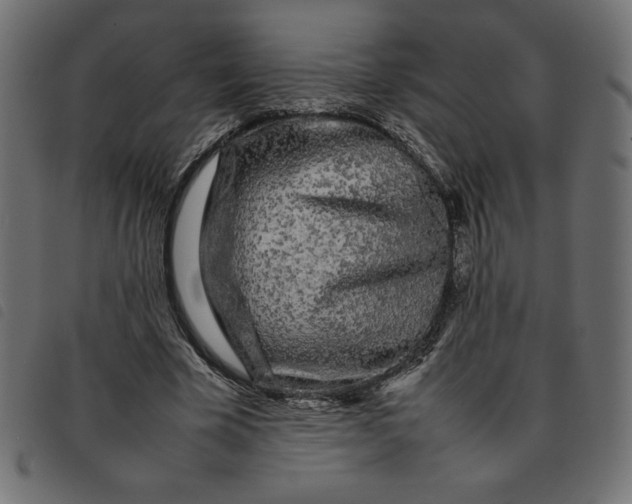 X0000092210585200710121131