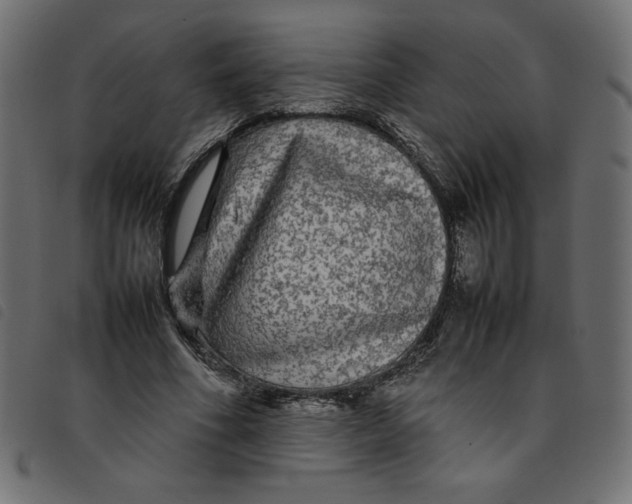 X0000092210586200710121131