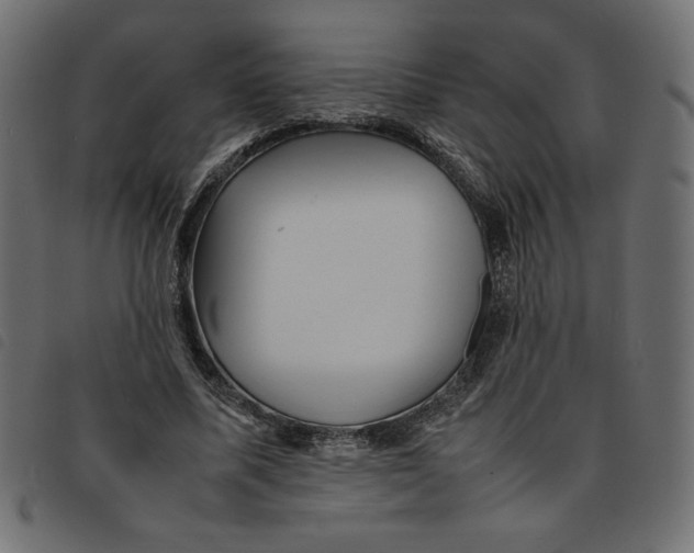 X0000092210587200710121131
