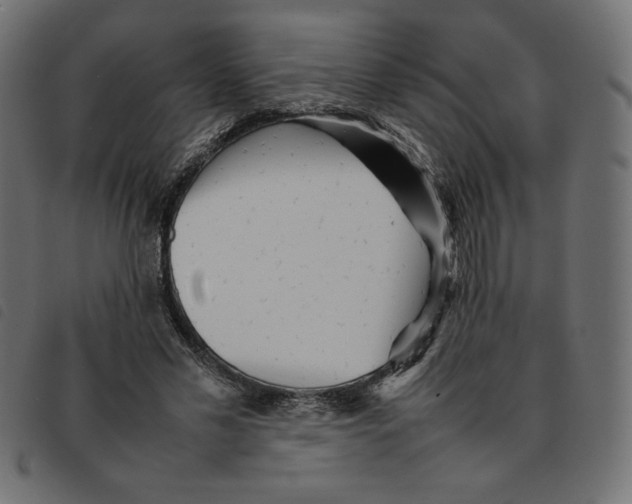 X0000092210589200710121131