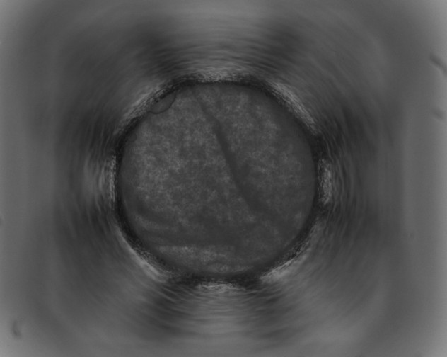 X0000092210590200710121130
