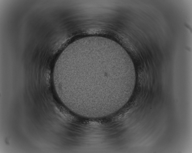 X0000092210592200710121130
