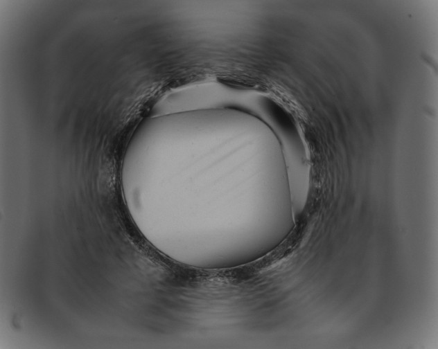 X0000092210593200710121130