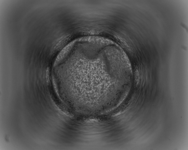 X0000092210594200710121130