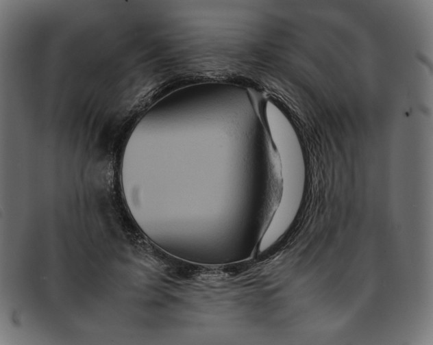 X0000092210595200710121130