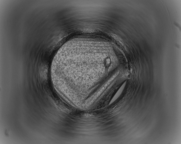 X0000092210596200710121130