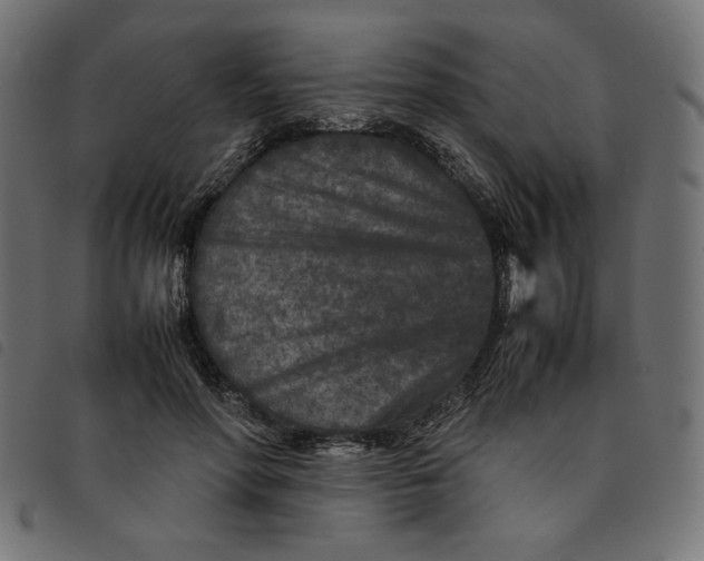 X0000092210598200710121130
