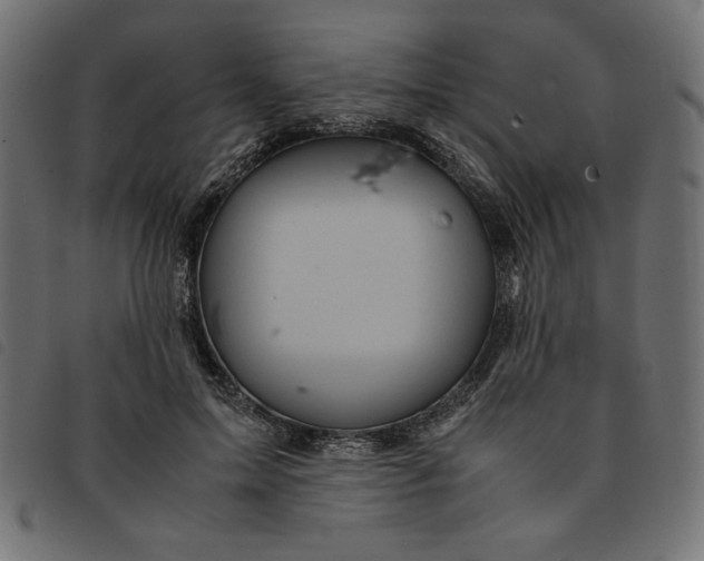 X0000092210599200710121130