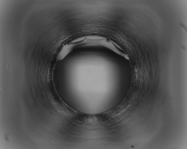 X0000092210600200710121130