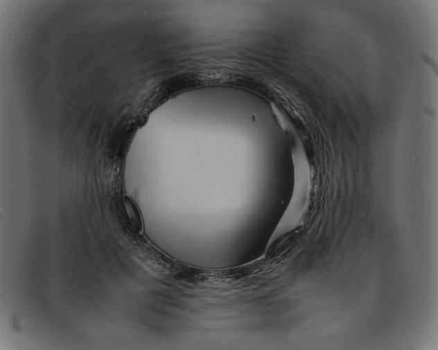 X0000092210601200710121130