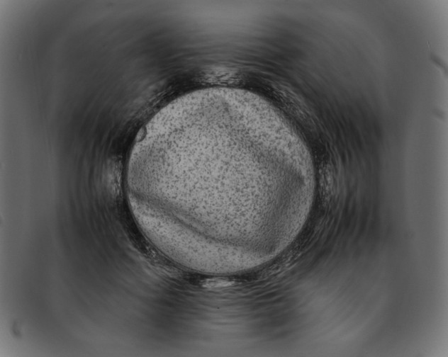 X0000092210602200710121130
