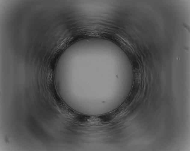 X0000092210603200710121130