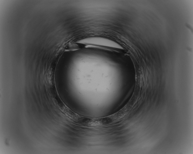 X0000092210604200710121130