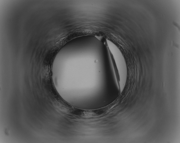 X0000092210605200710121130