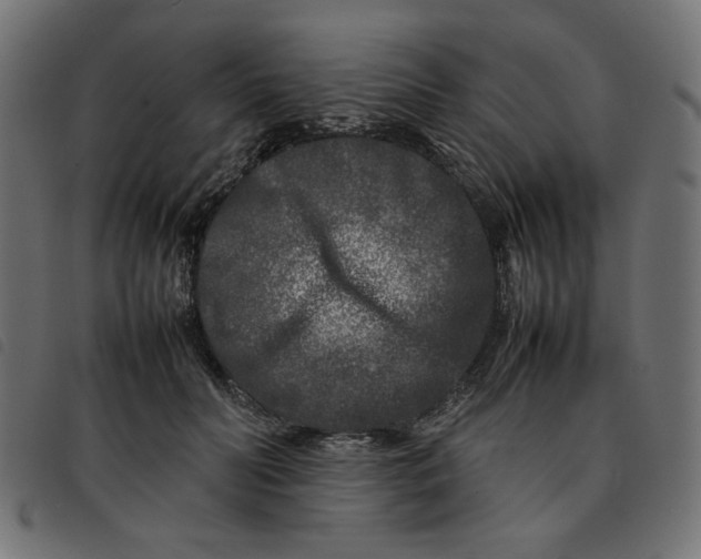 X0000092210606200710121130