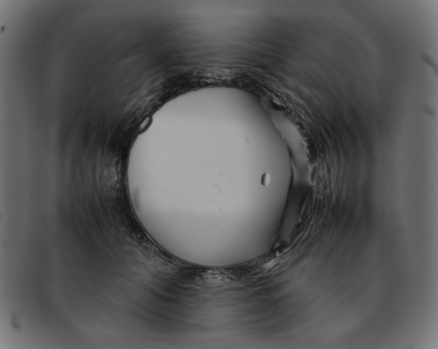 X0000092210608200710121130